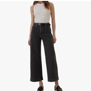 Gap Denim High Rise Wide Leg Crop Jeans Black Wash Size 10/30R EUC